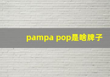 pampa pop是啥牌子